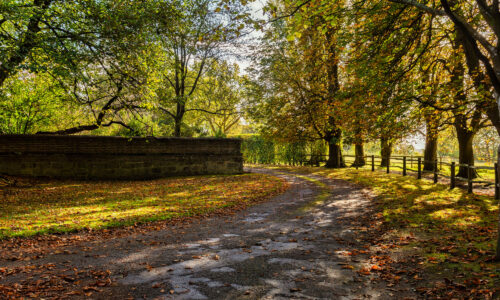 A shot of a country road in Tunbridge Wells, Kent. It is very green, autumnal and showing part of a road.
