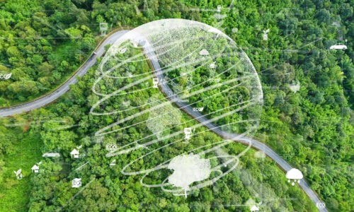 A birds eye view of a forest, lots of green trees with an illustration of a world sitting on top along with various transport and weather elements darted over the image.