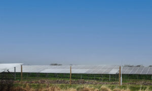 Images shows a blue sky with solar panels on a field. This is an image of Bowerhouse II a solar farm in North Somerset.