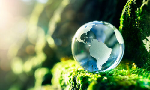A clear marble that looks like the earth, with countries outlined sitting on some moss in a woodland.