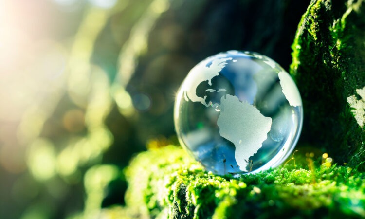 A clear marble that looks like the earth, with countries outlined sitting on some moss in a woodland.