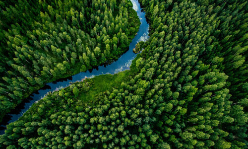 A birds eye view of a forest, lots of green trees, with a river running through the middle.
