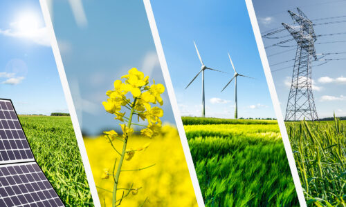 Four different types of energies and landscapes side by side. Solar, a field with a yellow flower, wind turbine and an electricity pilon.
